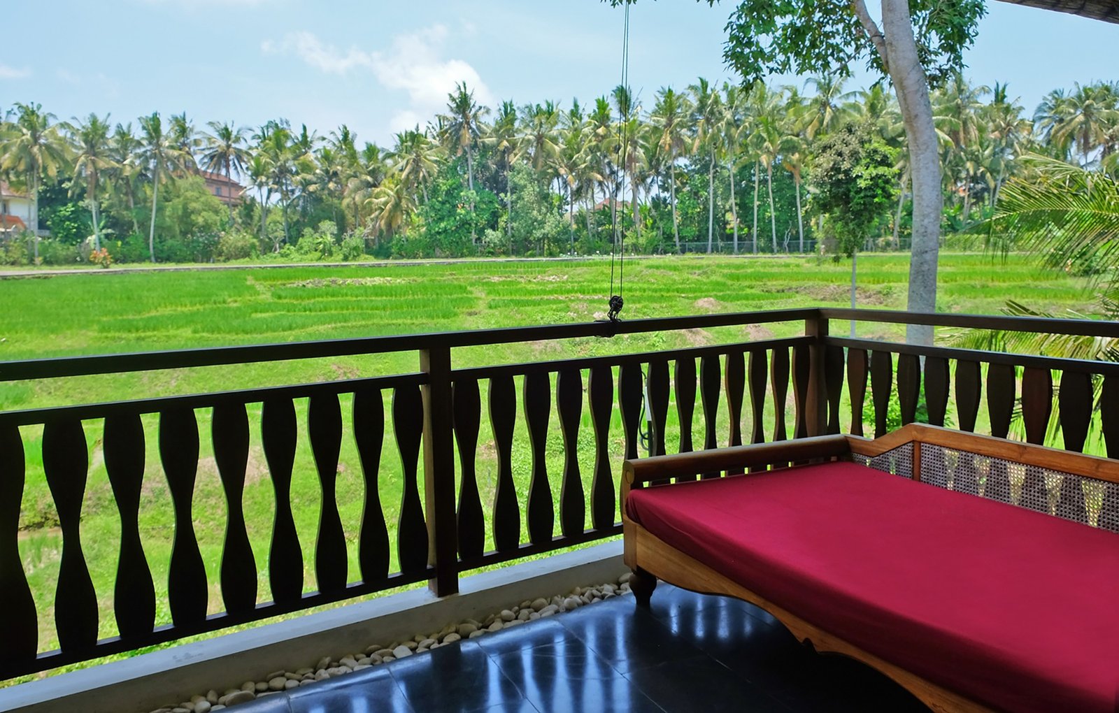 Rice Field View