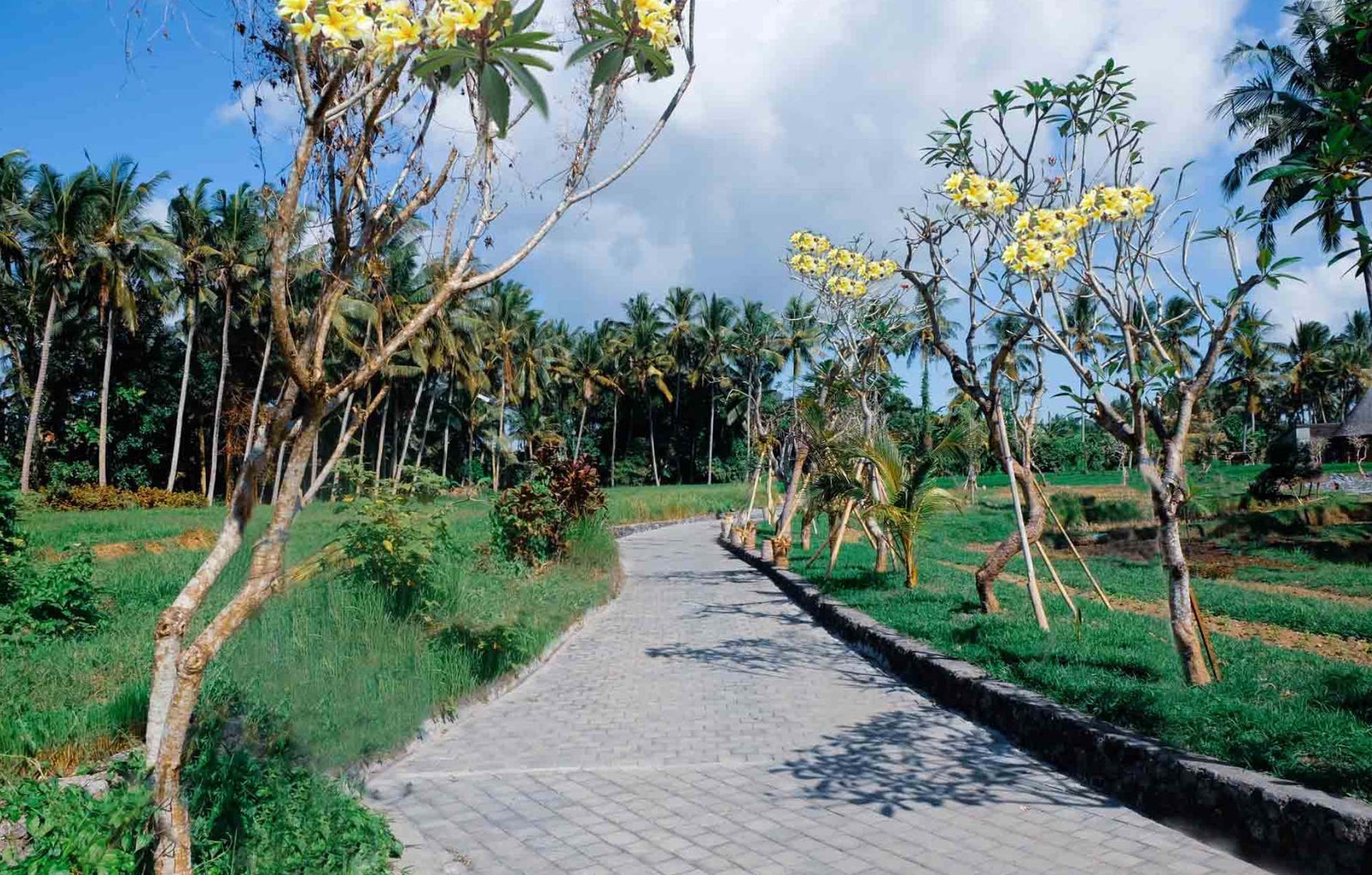 Facilities Green Field Resort