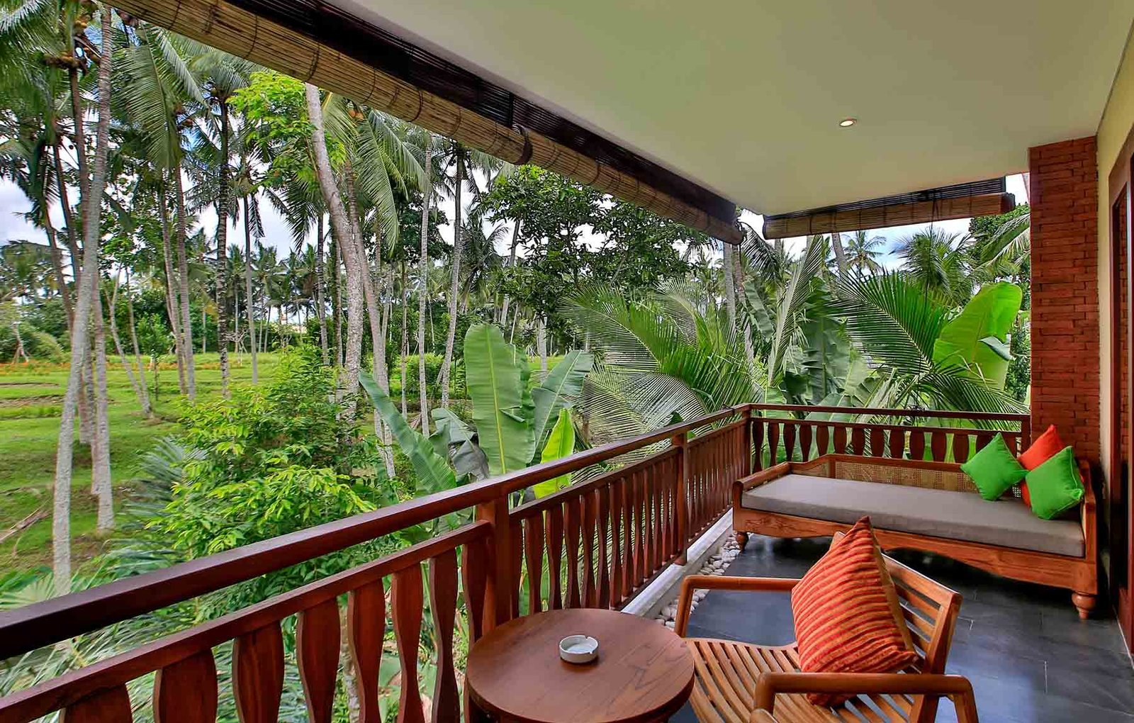 Tropical Garden